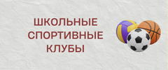 школьных_спортивных_клубов.png